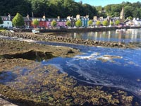 Tobermory